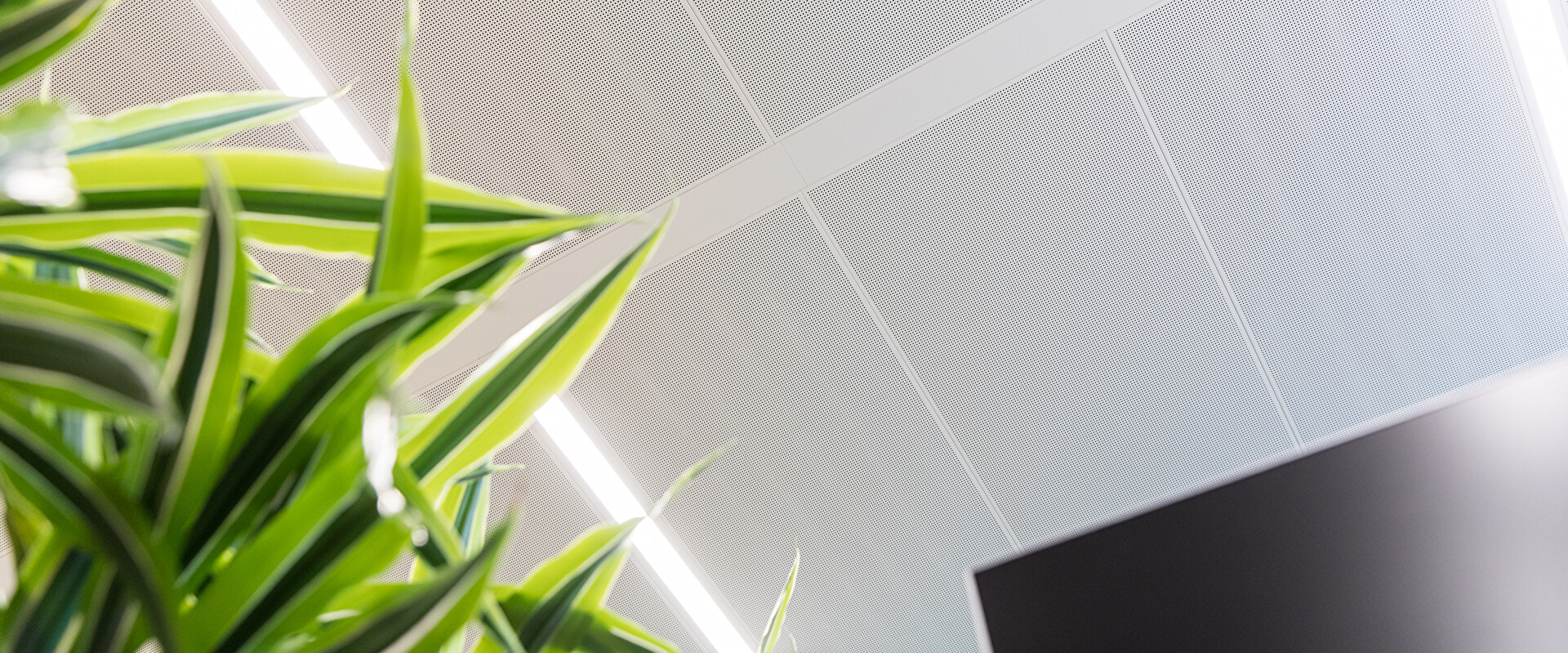 Sustainability - Solid Air Climate Solutions